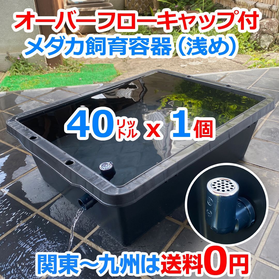 海*牛様 【訳あり品オークション特価】メダカ飼育ケース 75㍑黒x2個 オーバー 海*牛様 【訳あり品オークション特価】メダカ飼育ケース 75㍑