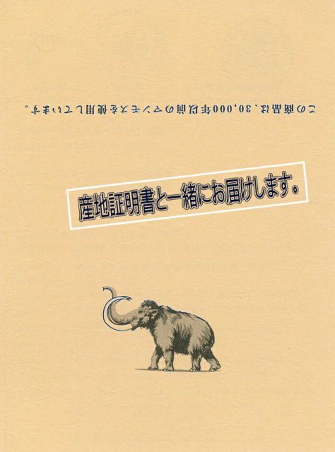 天然素材　マンモス牙　印材　印鑑　はんこ　ハンコ　未使用 3本 天然素材、印材、新品。 天然素材 マンモス牙 印材 印鑑 はんこ