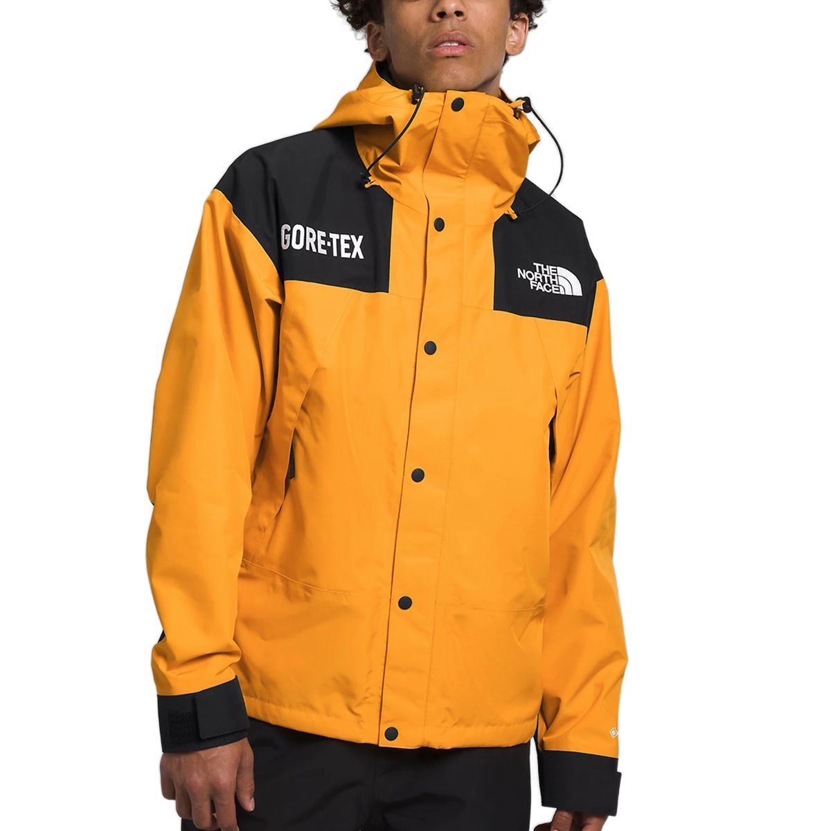 THE NORTH FACE ザ ノースフェイス GTX MOUNTAIN JACKET マウンテンジャケット GORE-TEX ジャケット 撥水加工  ナイロン EU USA企画 アメリカ ユーロ ライン 海外限定 マウンテンパーカー マウンテンジャケット