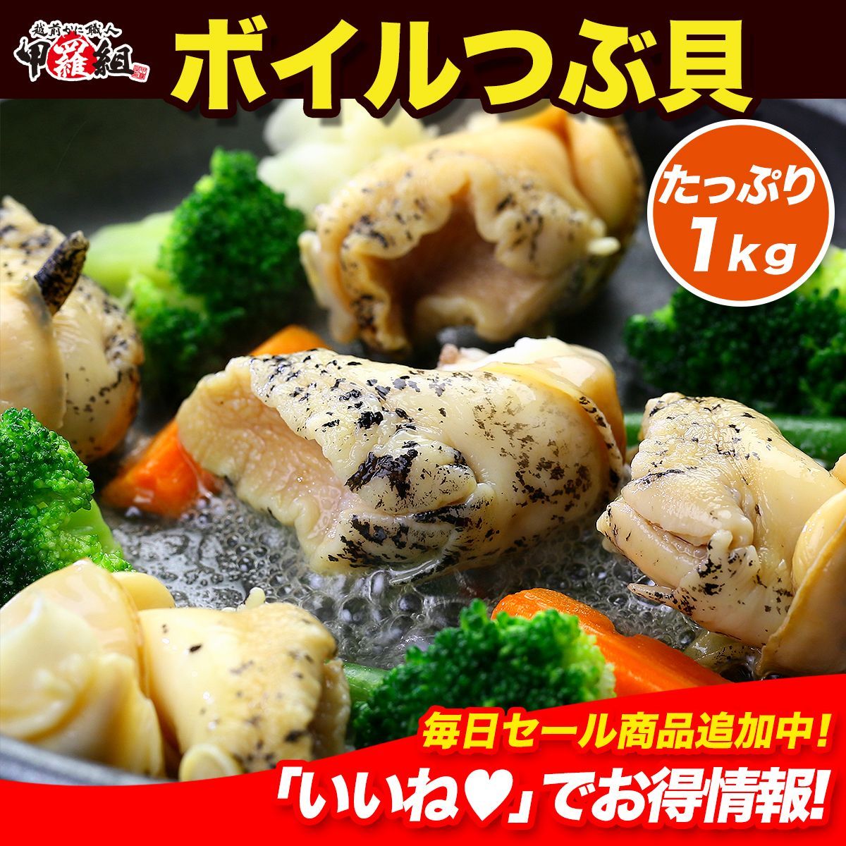 せるがおん 4枚セット ヴァンガード せるがおん 4枚セット