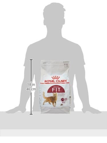 ロイヤルカナン FHN フィット 標準的な成猫用 10kg Amazon | ロイヤルカナン FHN インドア 猫用 10kg | ロイヤルカナン