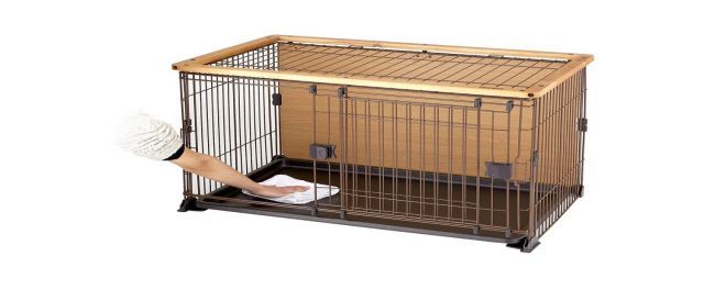 ボンビアルコン