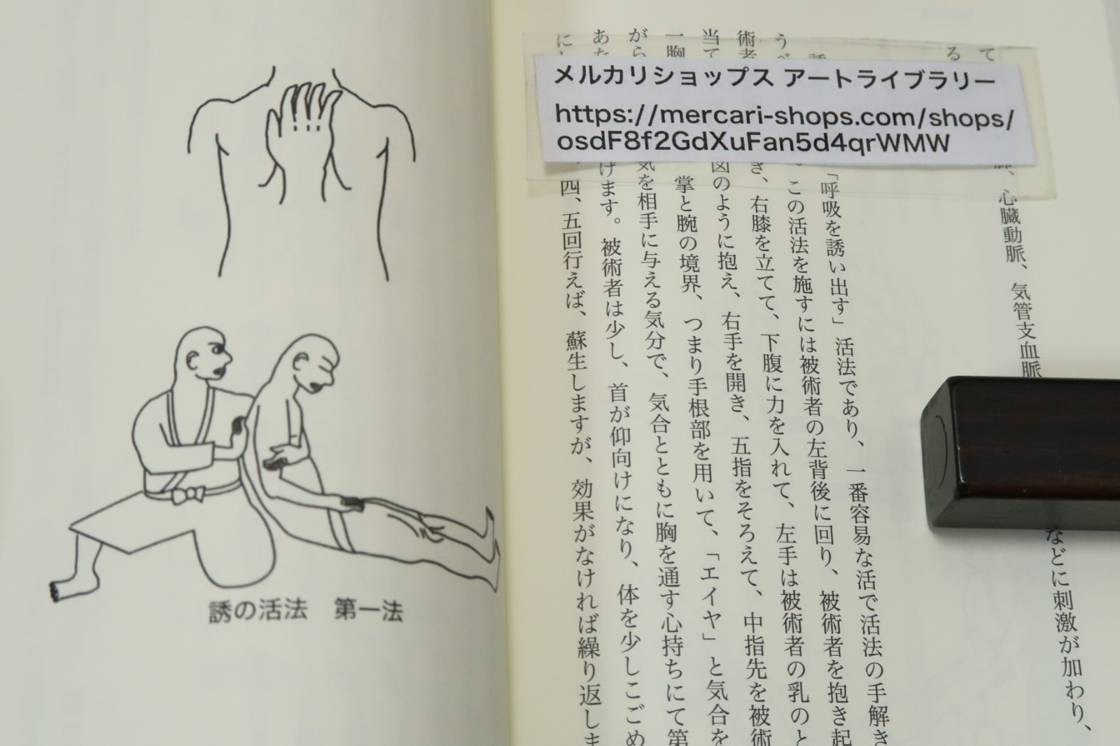 古流柔術の殺法・活法/江夏怜/古流柔術に伝わる活殺自在の最高秘伝・時代を超えて伝えられる至高の哲理・殺法と活法の知識を紹介する - メルカリ