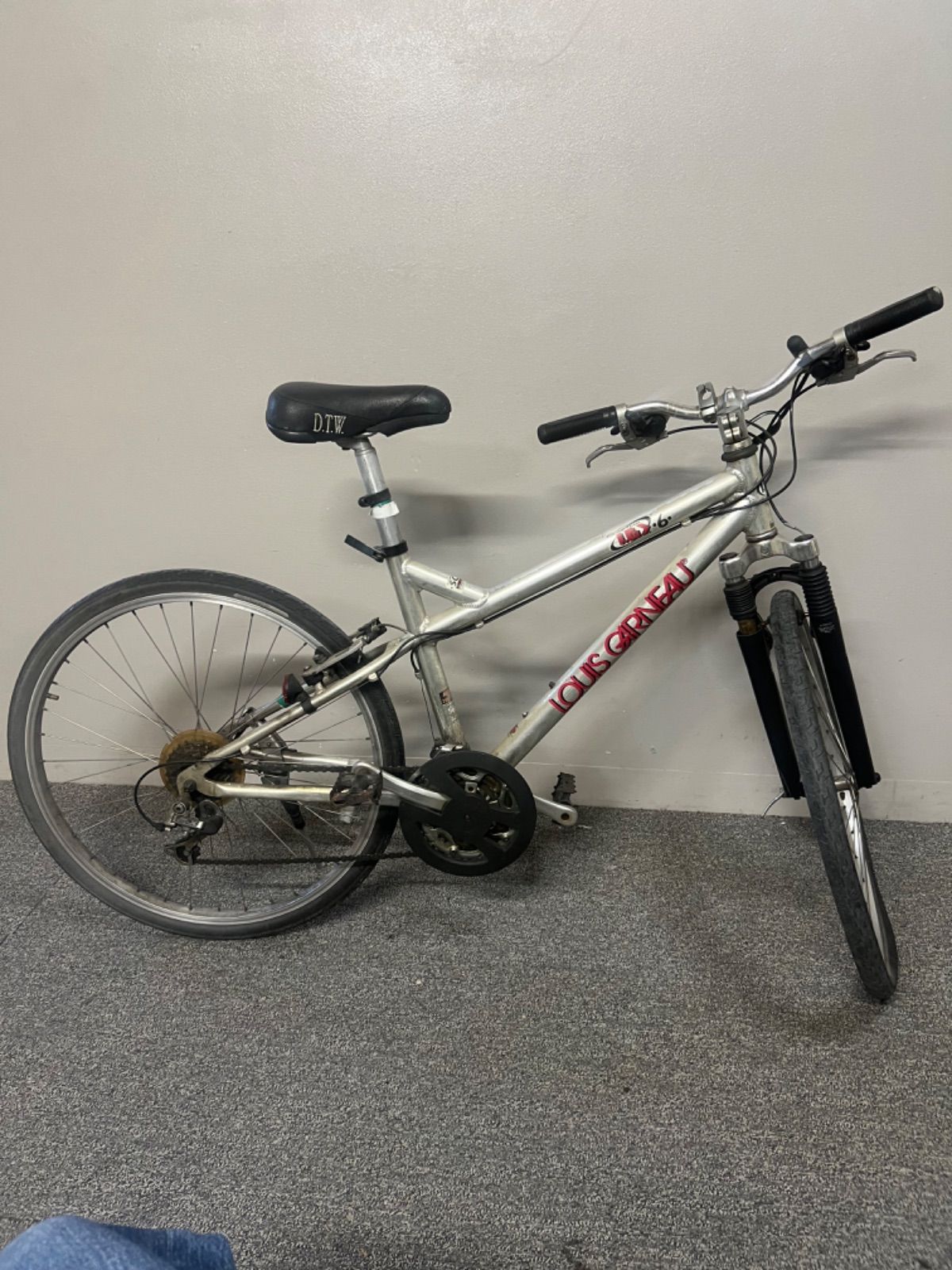 ⭐︎ ルイガノ BTM 自転車 中古 25 インチ