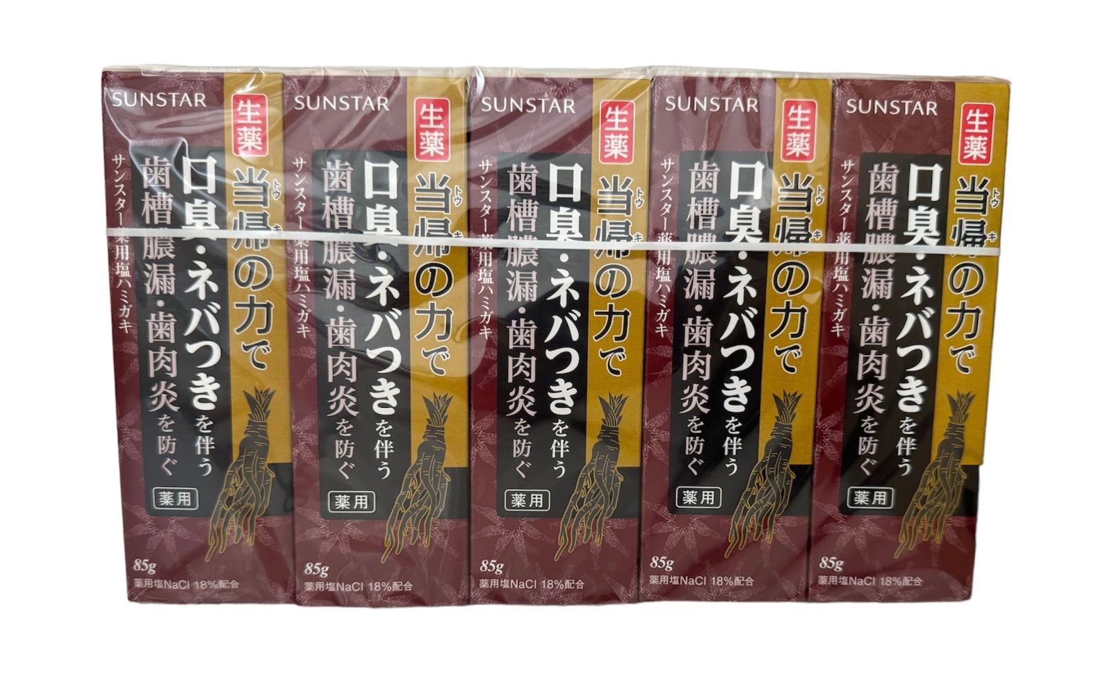 サンスターSUNSTAR 生薬当帰の力85g  10個セット