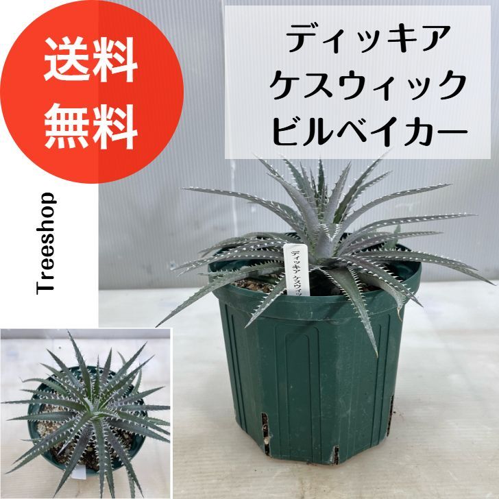 【初心者おすすめ】テーラーメイドＭ４　ドライバー&アイアンセット5I～SW TaylorMade (テーラーメイド) M4 アイアンセット｜トレファクONLINE