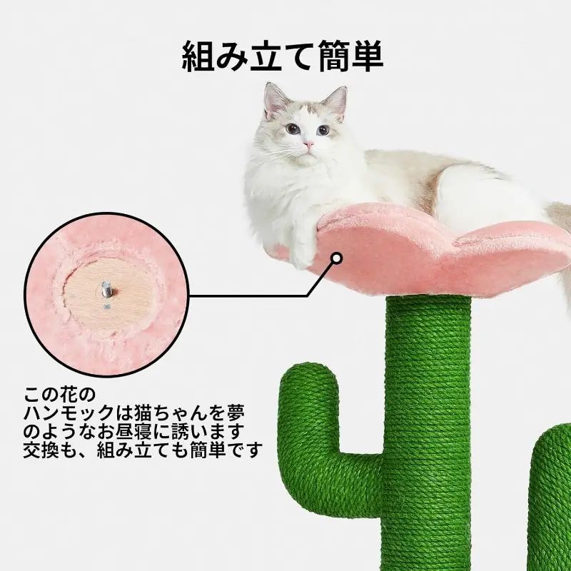 簡単組み立て 咲くサボテン