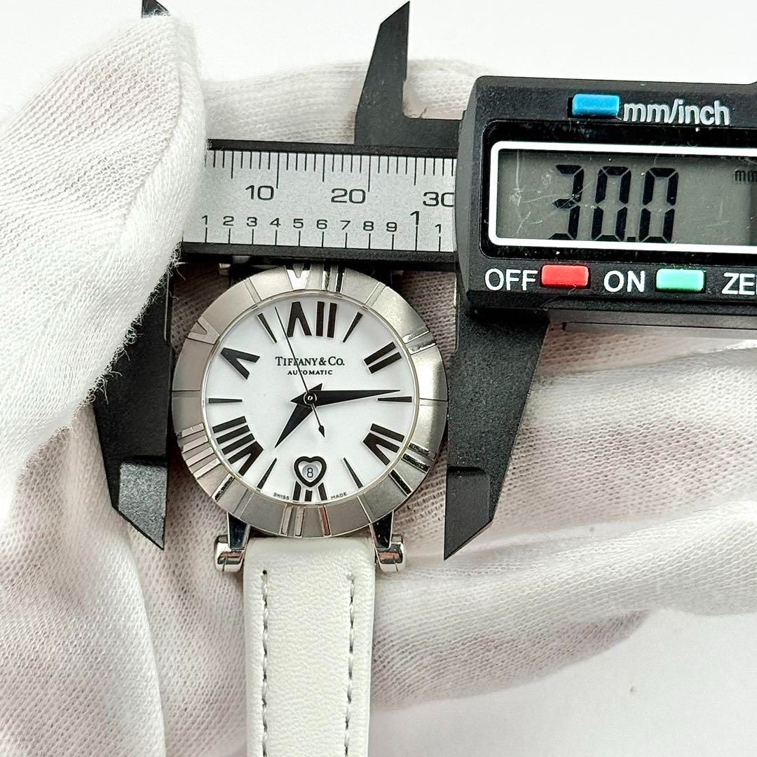 ベルト レディース