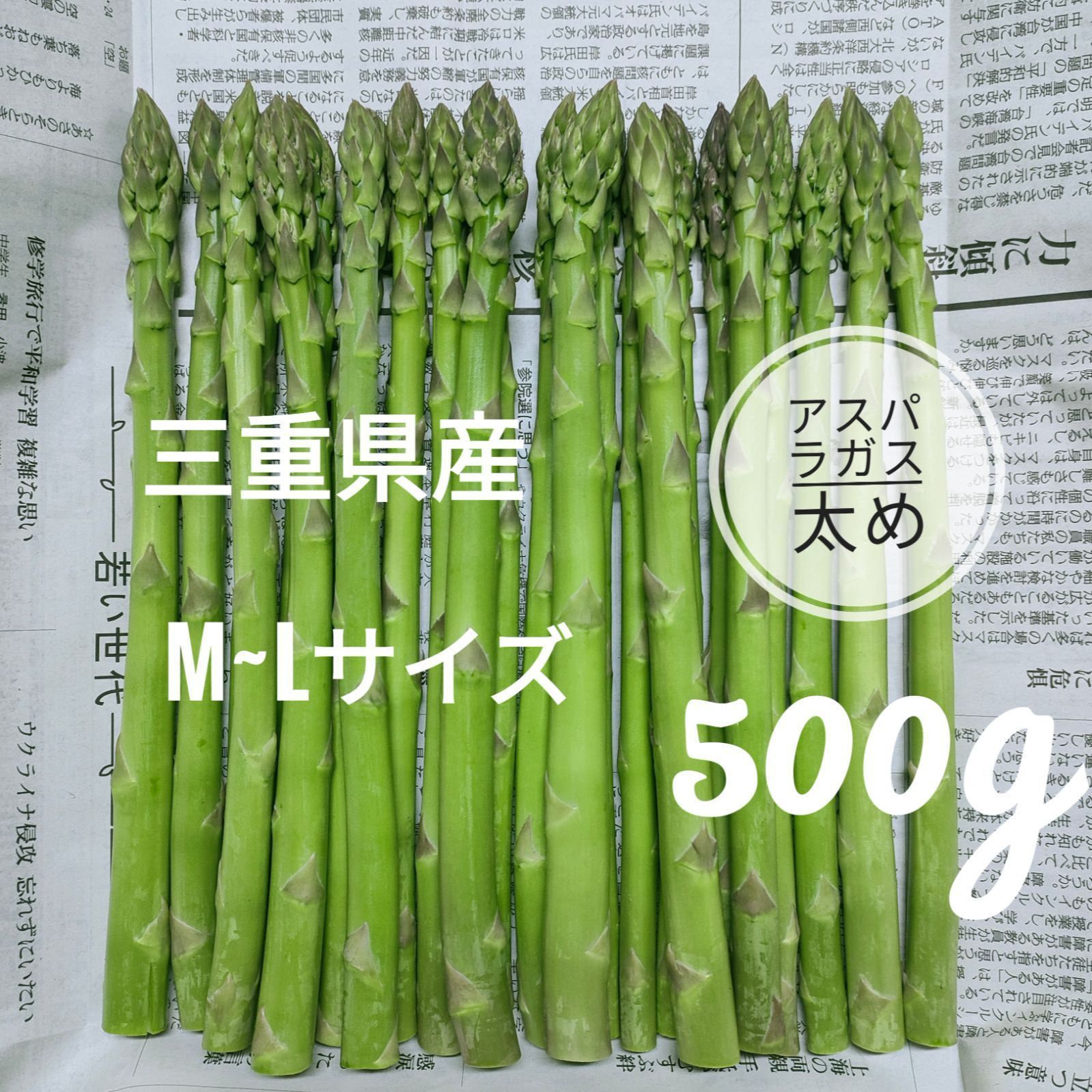産直長崎産アスパラガス2L.Lサイズ 500グラム 【92%OFF!】 - 野菜