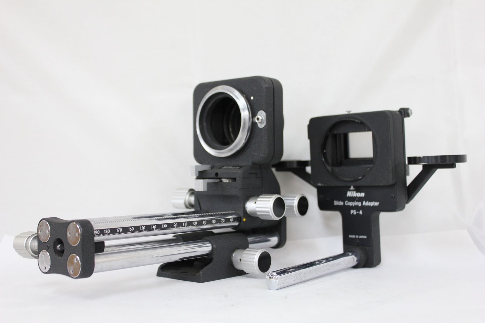 ロフォフォラ 美株 群生美株】ロフォフォラ烏羽玉錦 国内実生 塊根植物