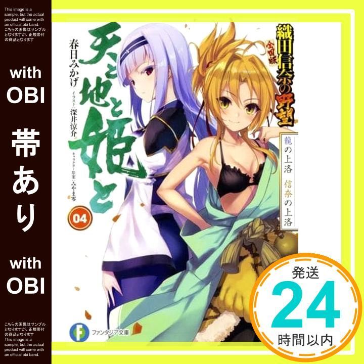 織田信奈の野望　本編22冊、外伝4冊、天と地と姫と5冊、総合計31冊 織田信奈の野望 本編22冊、外伝4冊、天と地と姫と5冊、総合計31冊