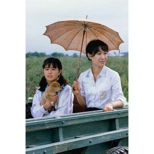 新着商品】大河ドラマ いのち 完全版 三田佳子主演 第壱集【NHK 