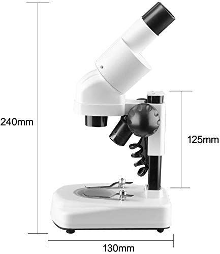 入力110V60HZ❤標本が立体的に見える❣企業の現場でも使われる最新鋭モデル♪❤双眼実体顕微鏡