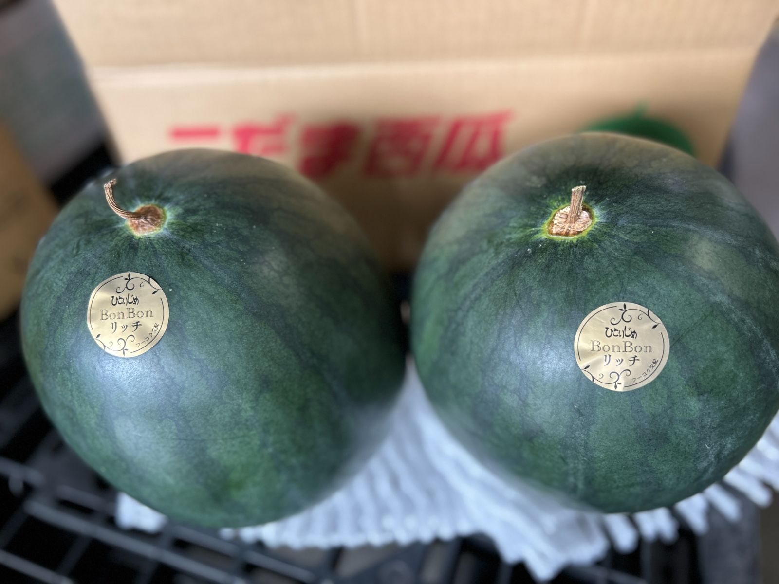 すいか 黒小玉すいか ひとりじめBonBonリッチ 2玉 4Lサイズ 熊本