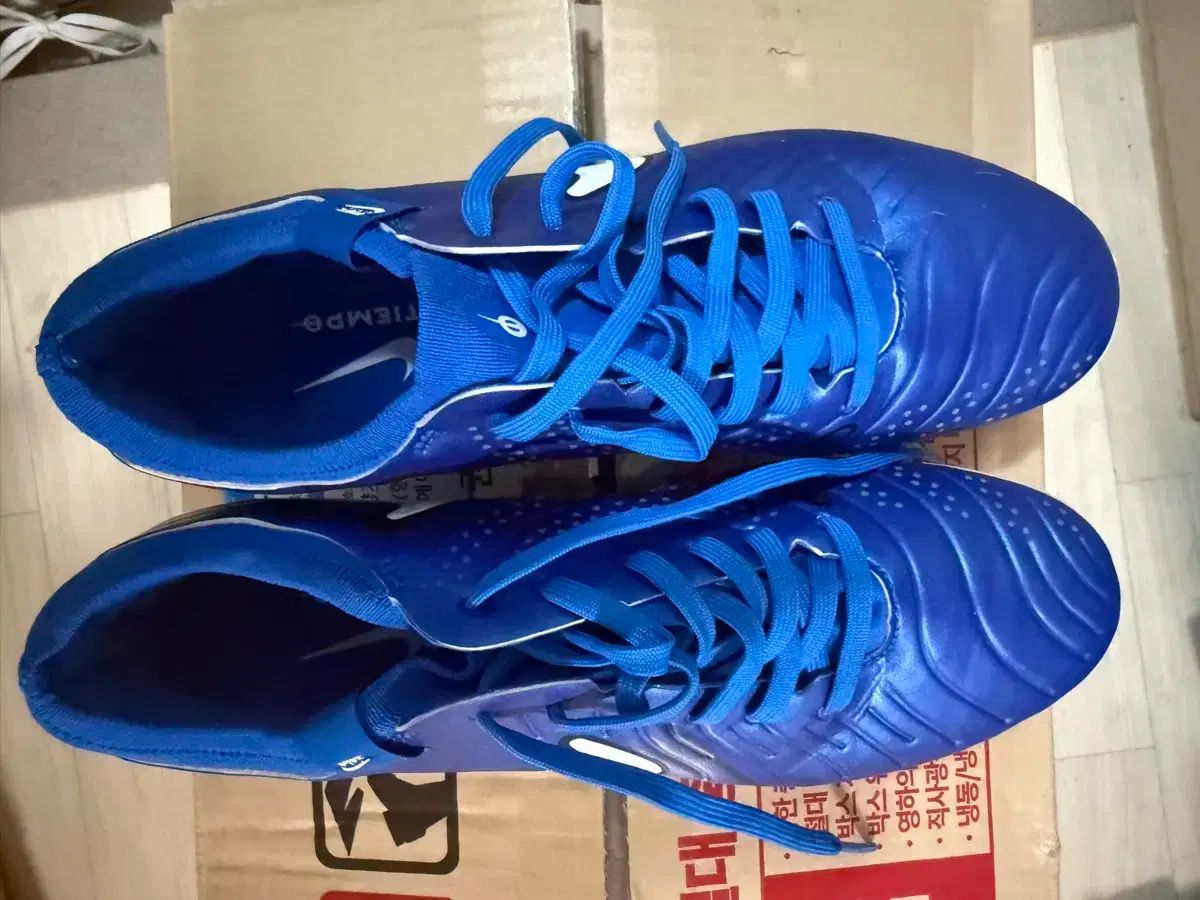 NIKE ナイキ ティエンポ レジェンド 10 pro ag 260