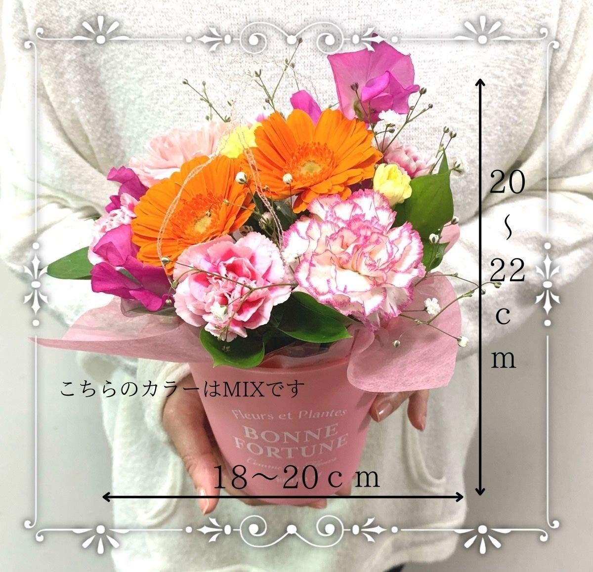 誕生日 ニチフロ