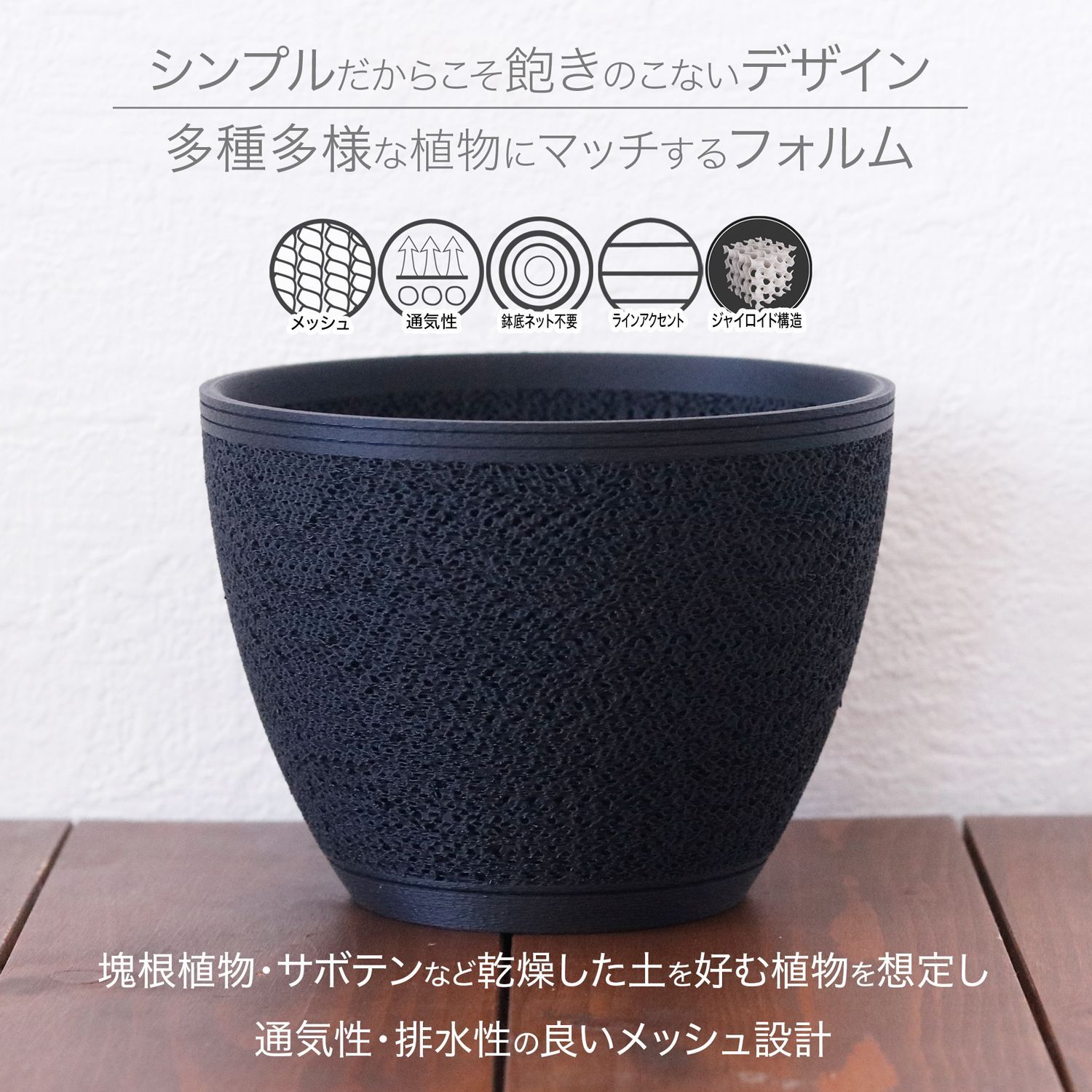 塊根植物 鉢植え 黒鉢 Adv-019 (90×90) 植木鉢 おしゃれ シンプル 黒 プラ鉢 多肉 塊根 観葉