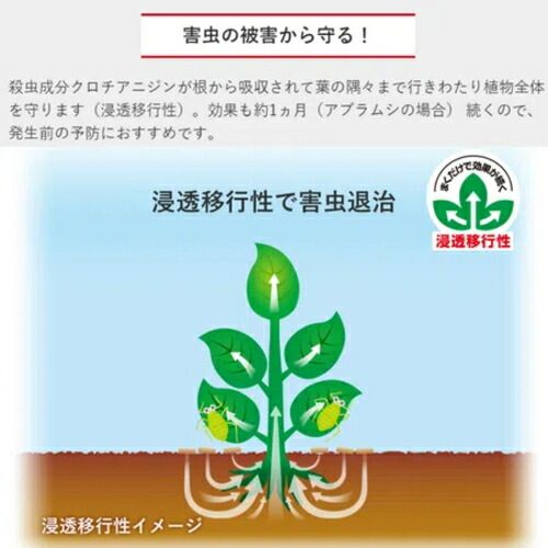 550g 8個セット