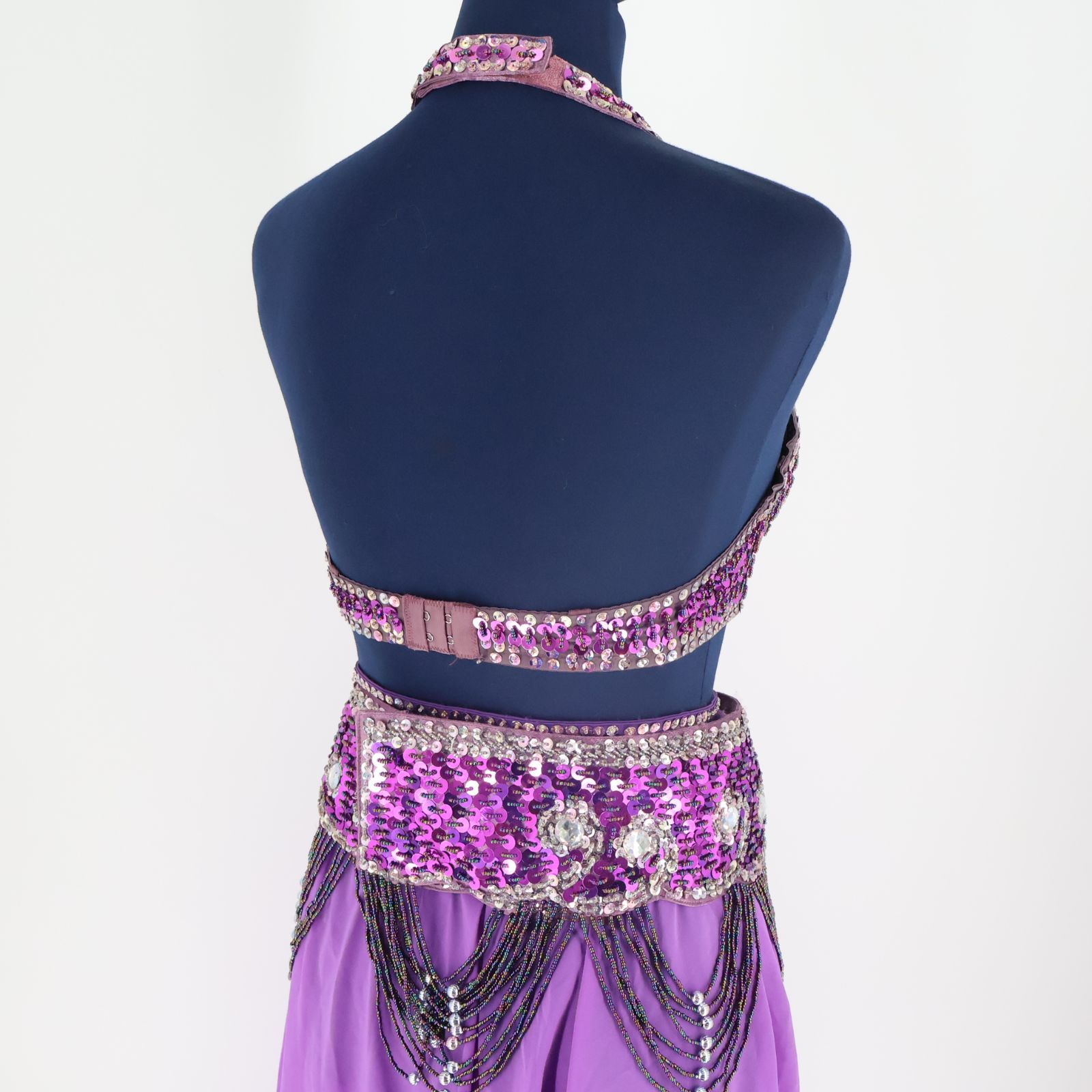 ベリーダンス衣装　華やか　パープル ベリーダンス衣装 華やか パープル 送料無料】気品あるパープルの本格