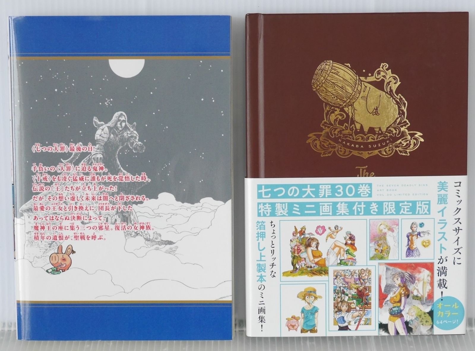 新品未開封 七つの大罪 30巻 限定版 特製ミニ画集付き限定版 特装版コミック 講談社 鈴木央