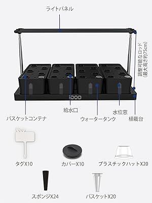 ブラック 20株