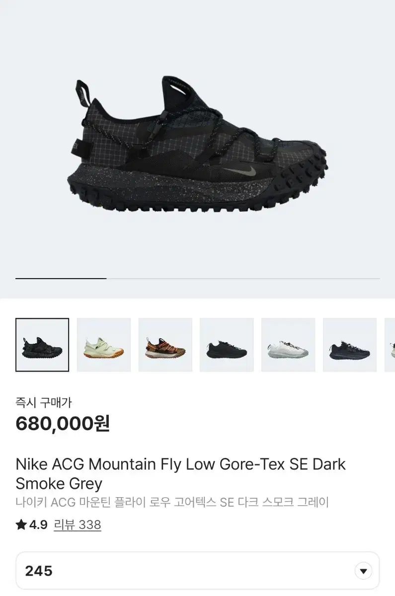 NIKE ナイキ acg マウンテン フライ ロー GORE-TEX ゴアテックス
