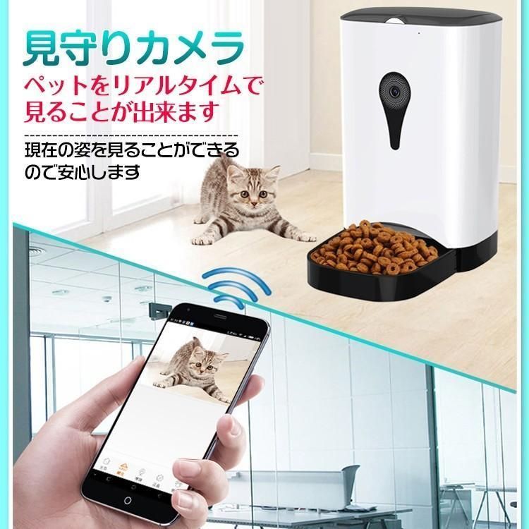 餌やり