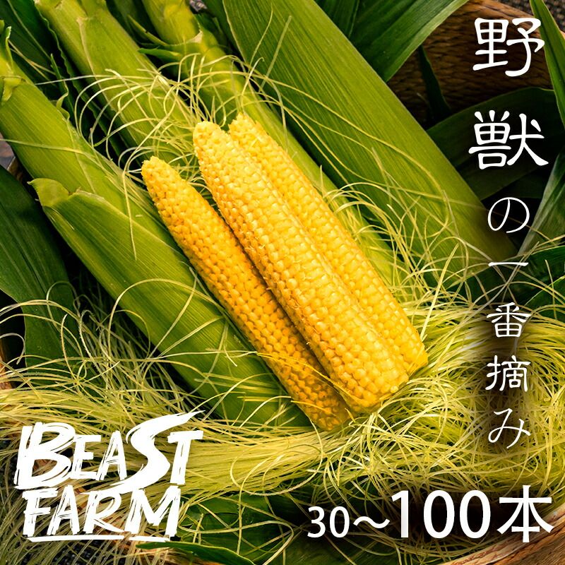 ヤングコーン 100本 ベビーコーン とうもろこし 野獣の一番摘み