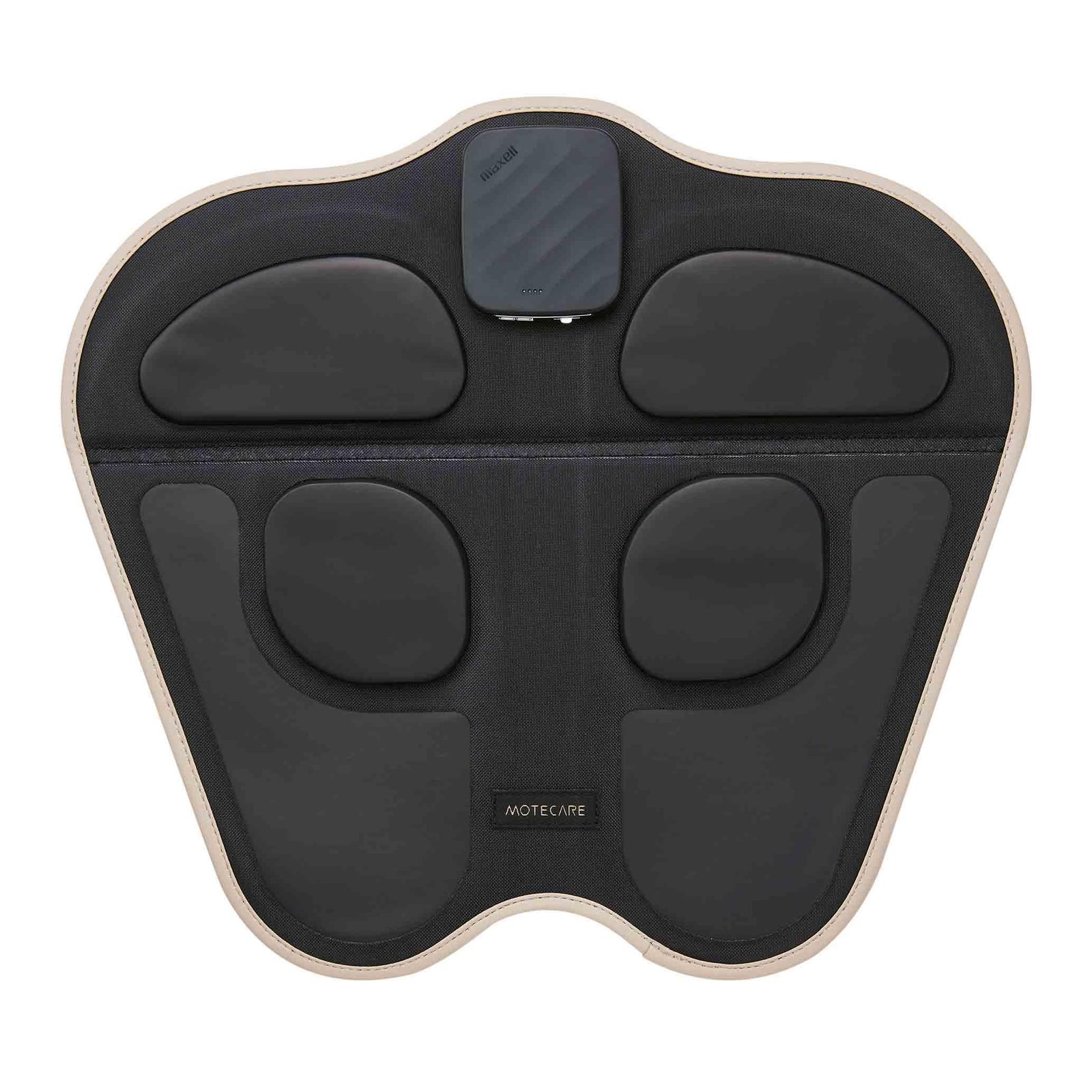 コレクション AT☆スナッピングタートル＆ダイビングビートル