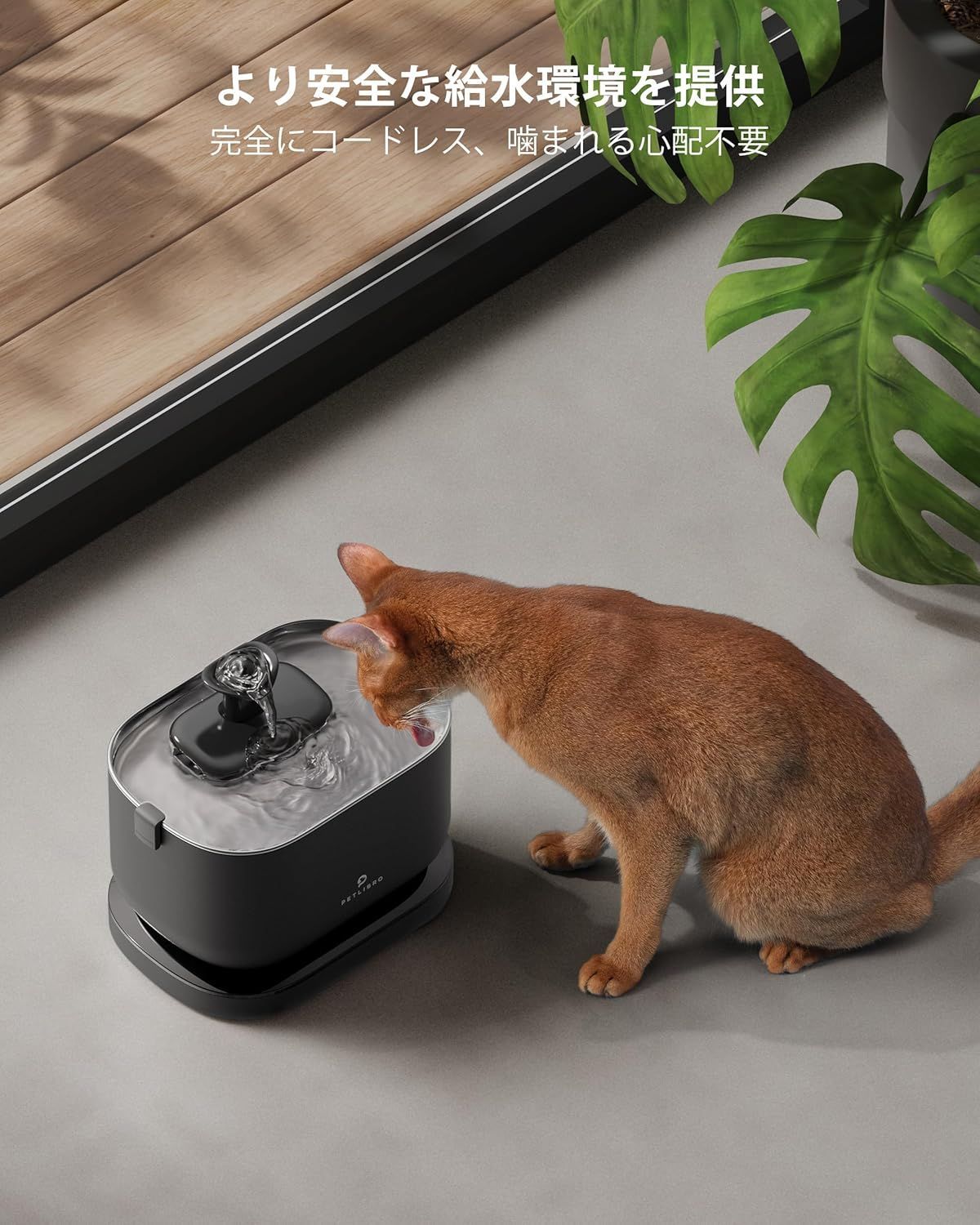 動作検知