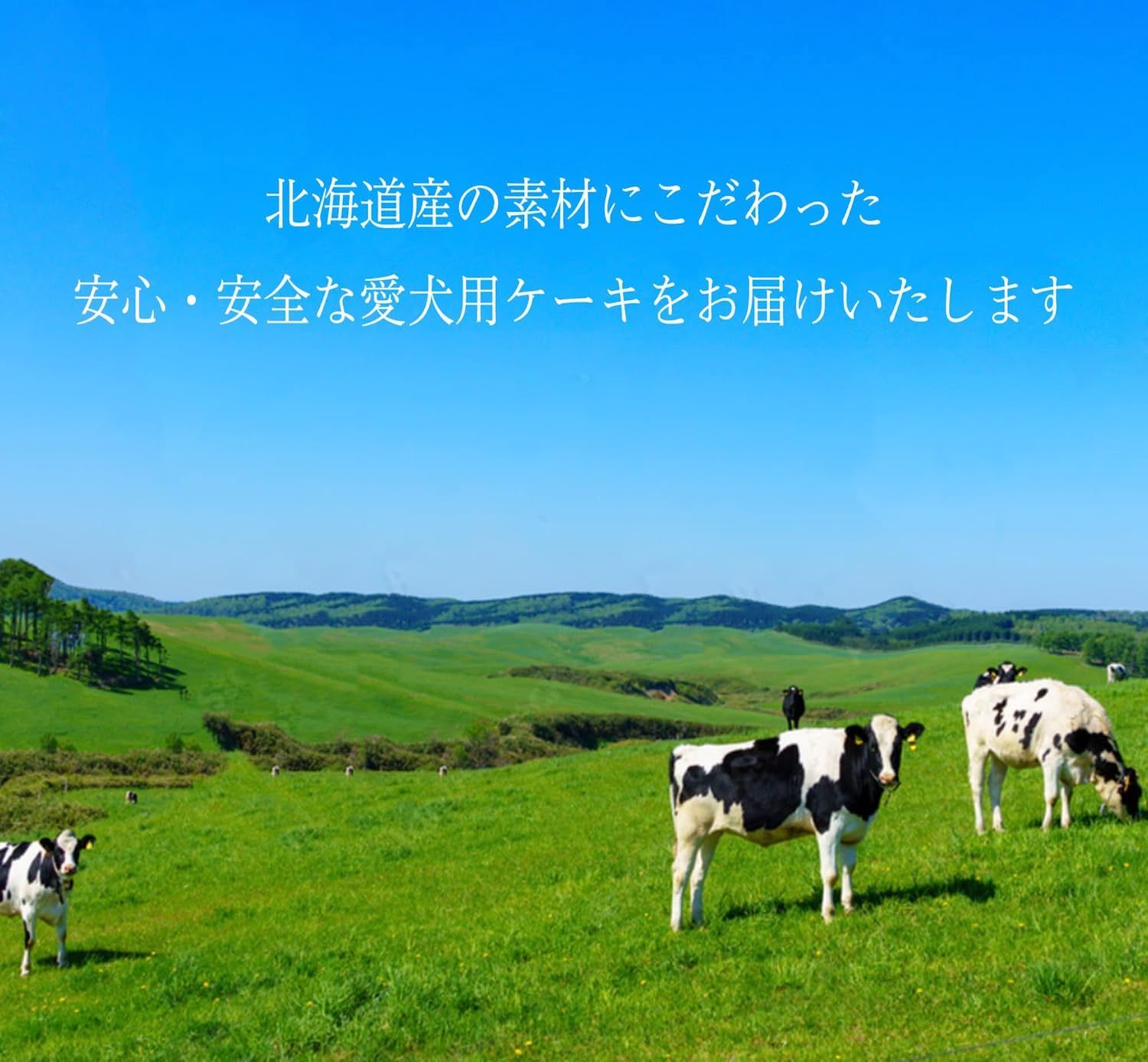 犬用ケーキ ロールケーキ(６種のフルーツ)【北海道産素材】誕生日 お祝い 犬 ケーキ クリスマス