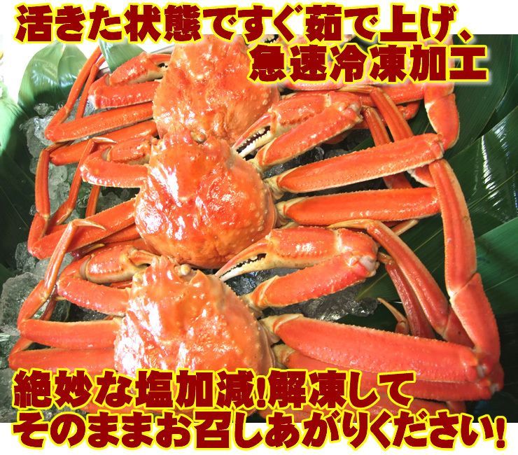 ボイル