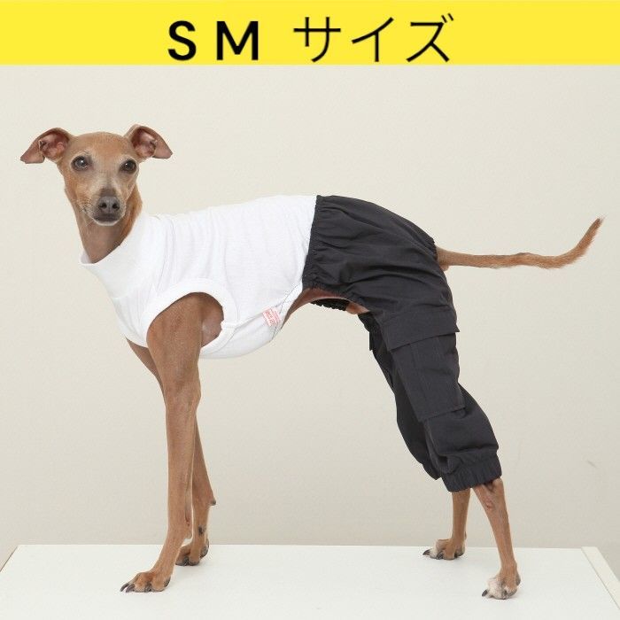 DG doggear 【Basic】 plus コート イタグレ ウィペット DG doggear