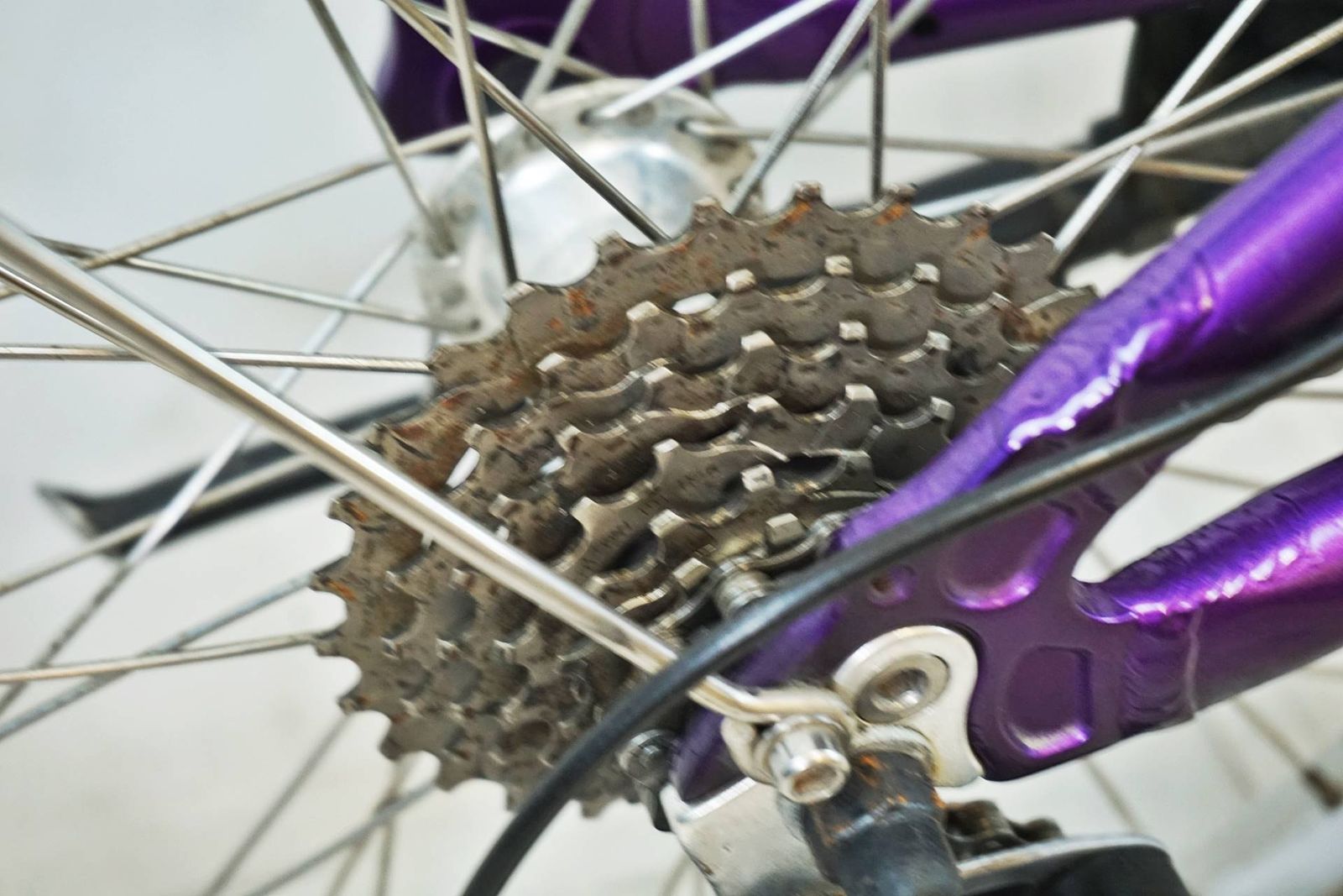 ルイガノ LGS-MV1