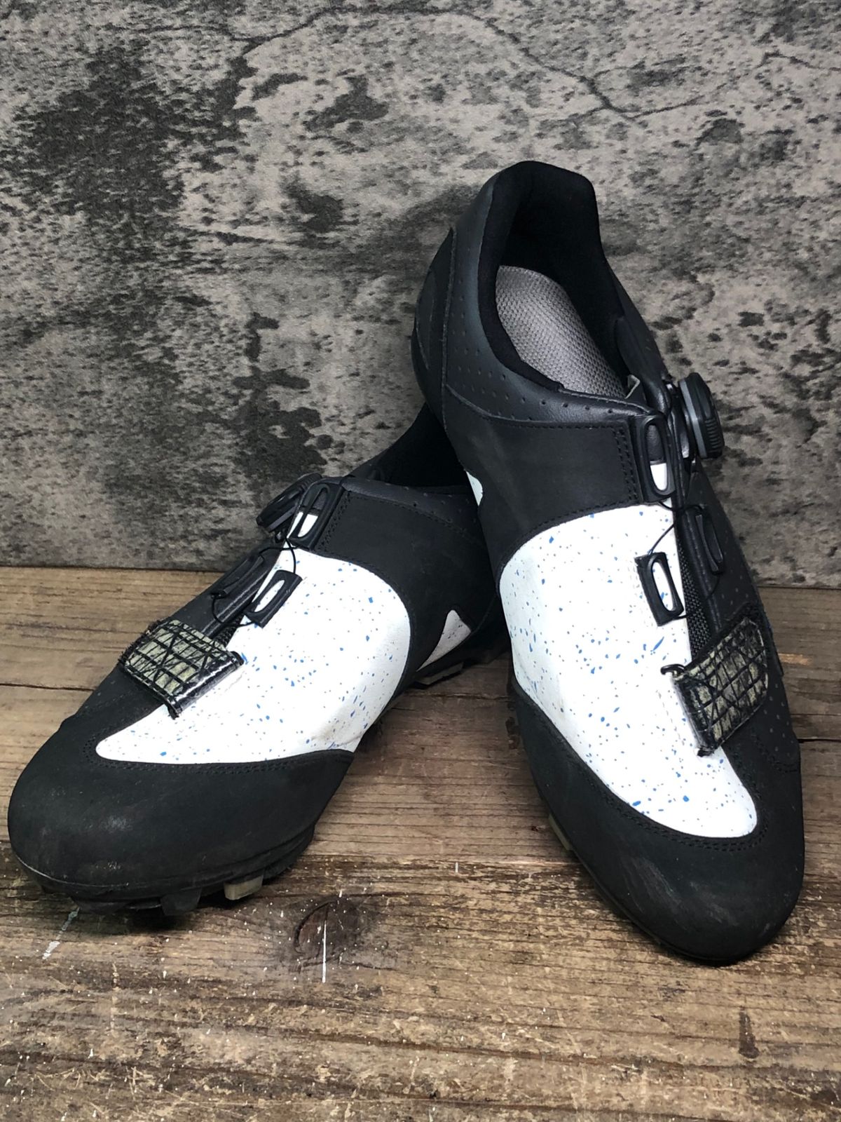 井上蒼生 公式写真 プロカ 井上蒼生 プロカ プロフィールカード 公式