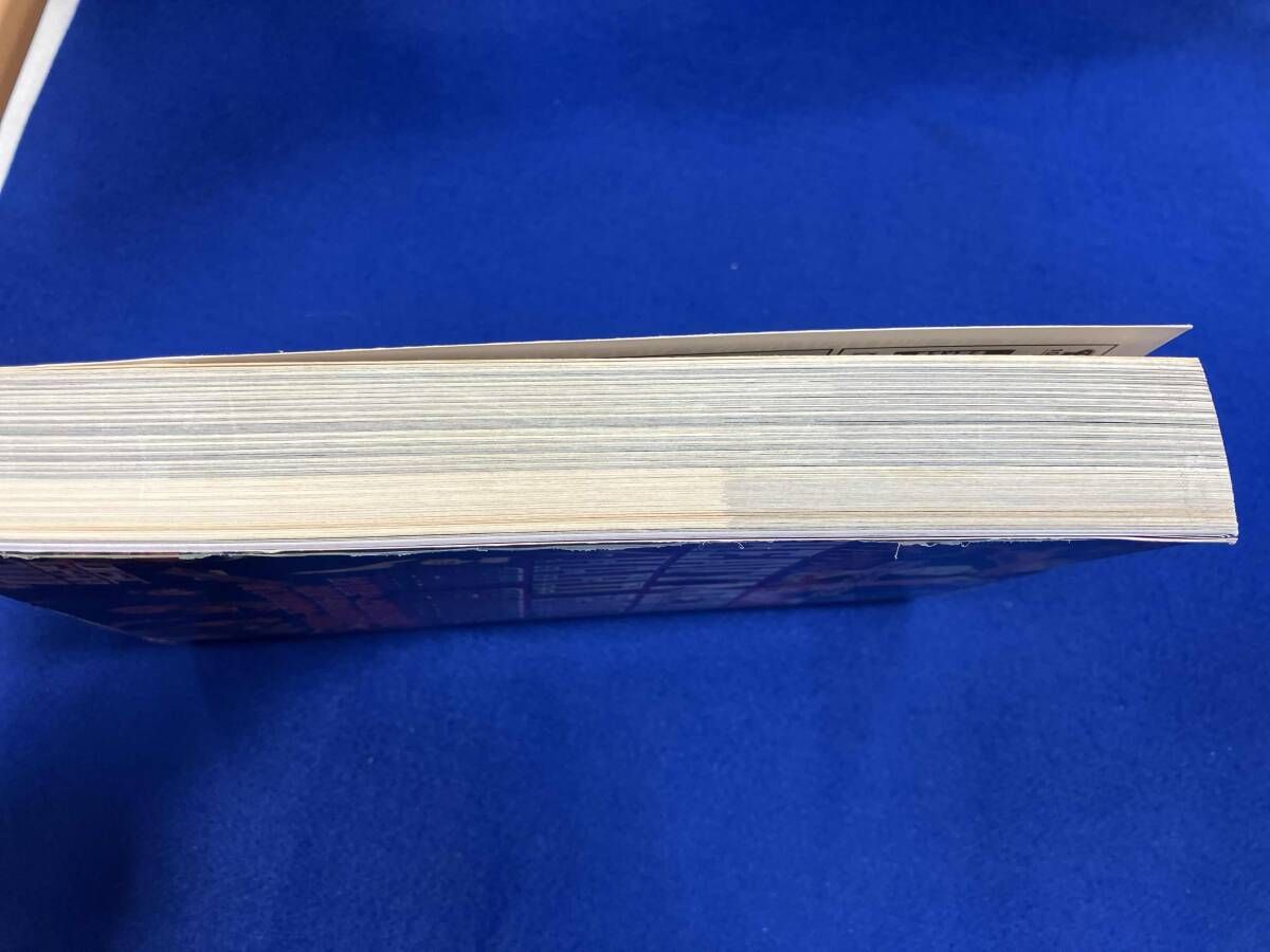 ヘヴィ・メタル/ハｰド・ロックCDガイド シンコー・ミュージック