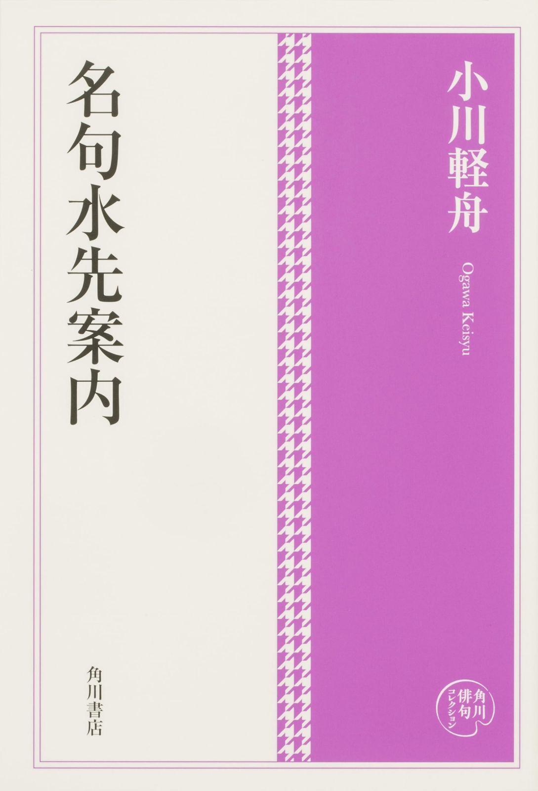 角川俳句コレクション 名句水先案内 【公式通販】