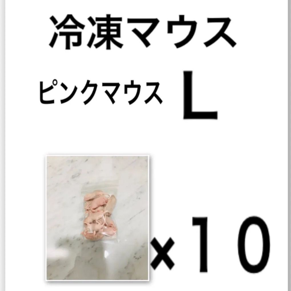 冷凍マウス ピンクL…10袋 【公式通販】