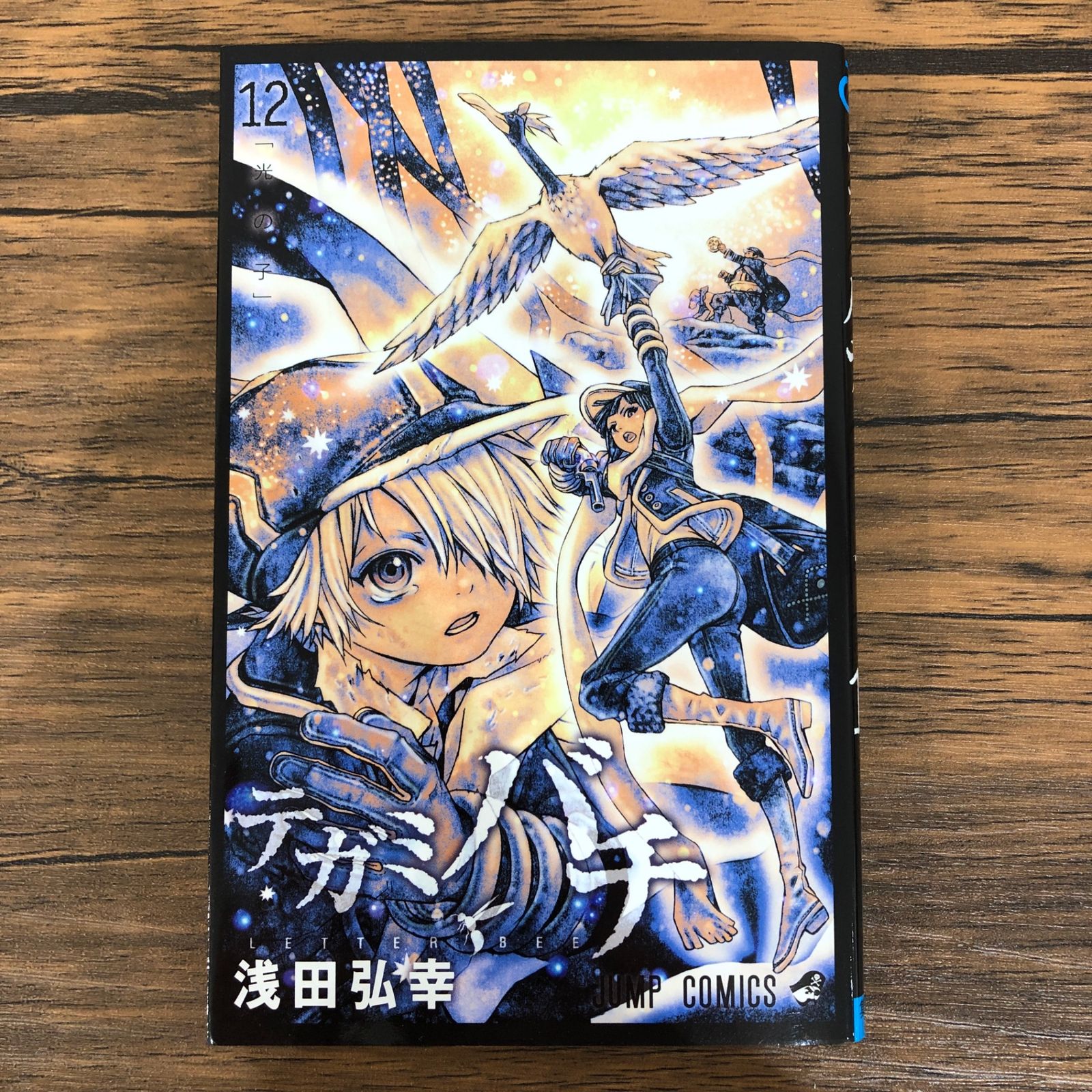 テガミバチ（12）/浅田弘幸/GF-0225005711-YP/GF08991 - メルカリ