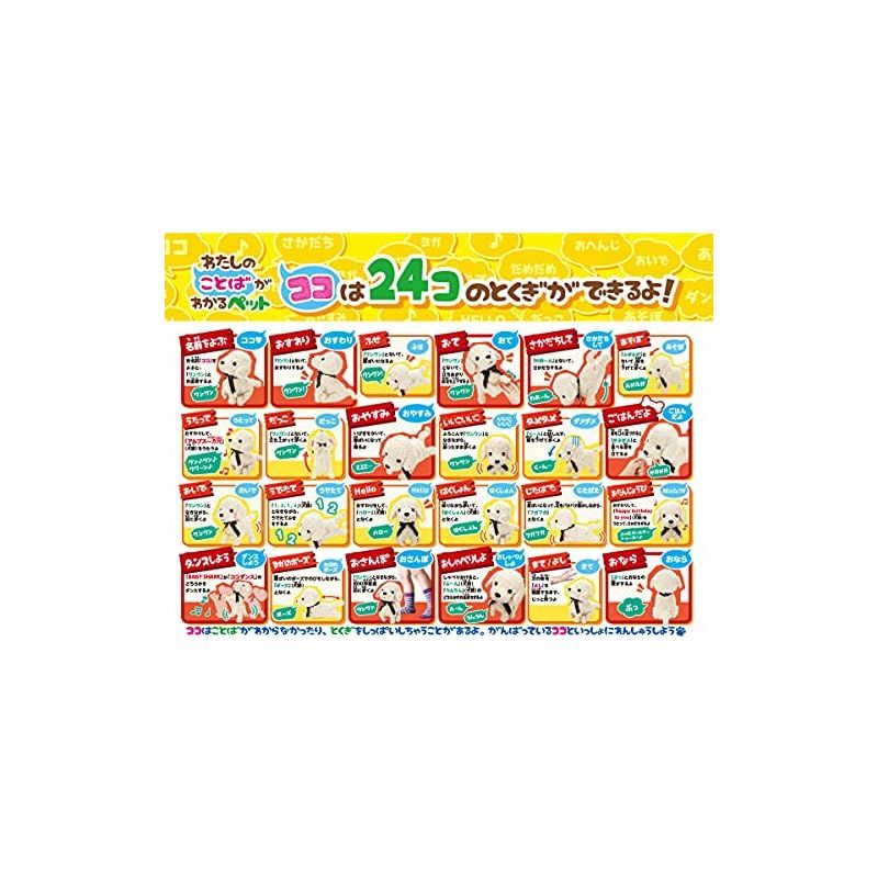 ココ