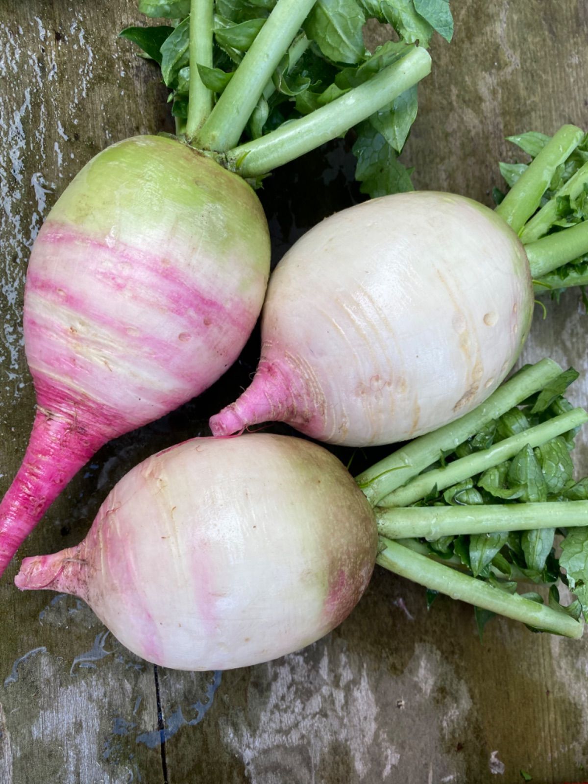 岩手県産 新鮮野菜の詰め合わせ　60サイズ ⚠︎常温便⚠︎ おまかせ野菜BOX