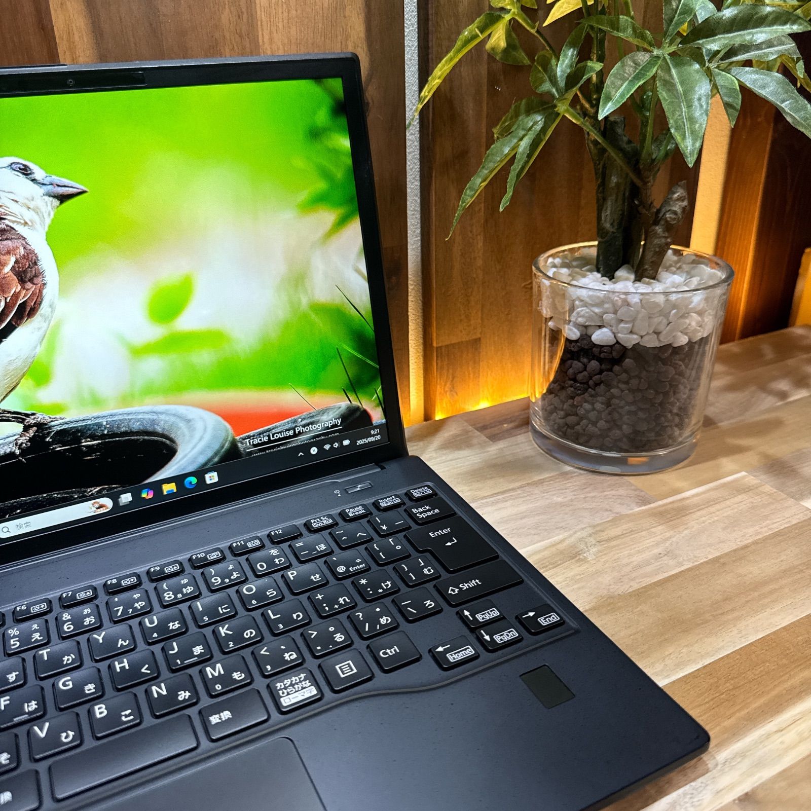 公式ショップ限定価格❣️/ LTEモデル《2023年発売》LIFEBOOK U9313/M