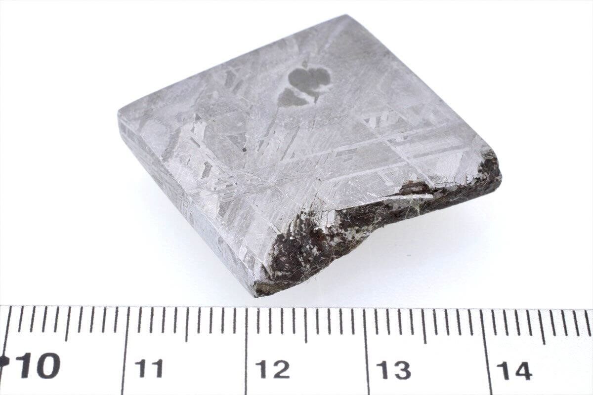ムオニナルスタ ムオニオナルスタ 24g スライス カット 標本 隕石 