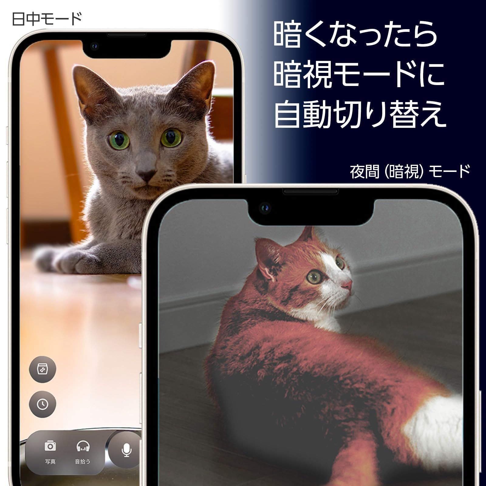 ブリシア カメラ付き自動給餌器