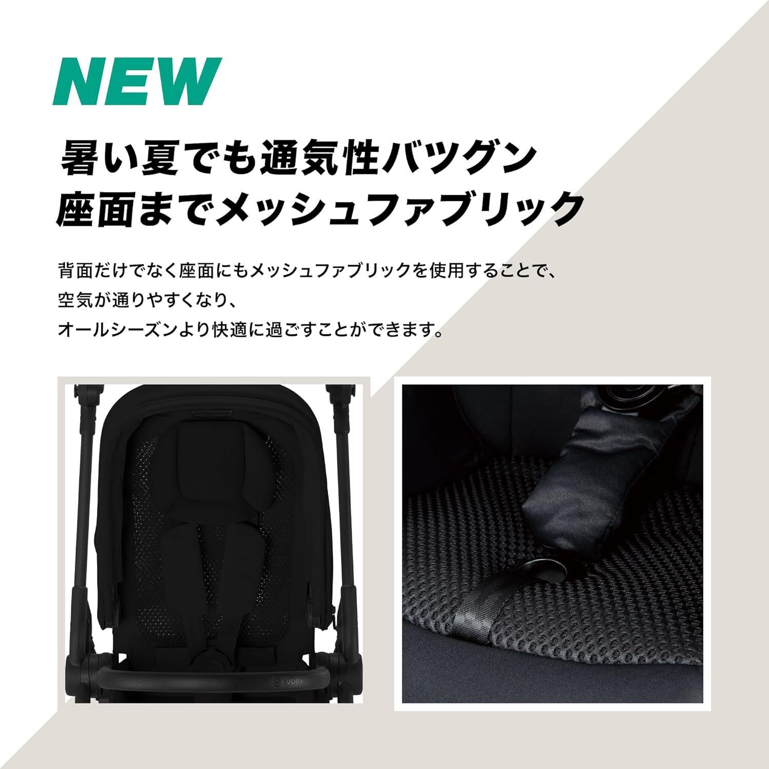 524000487 アーモンドベージュ