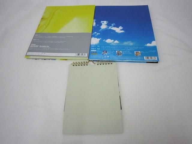 中古品 アーティスト SKYPEACE スカイピース のみ Grateful For