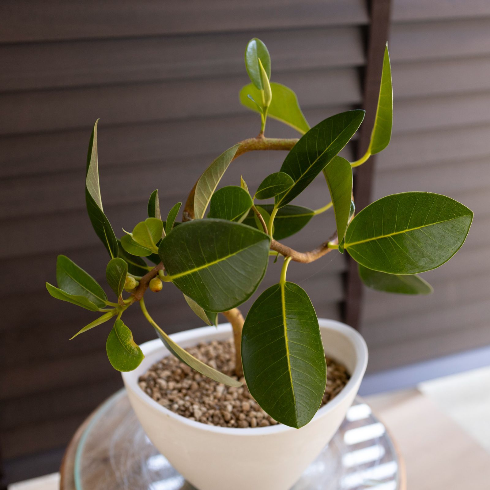 いけばな 小原流 花器3点 まわる ならぶ 華道 池坊 草月流 嵯峨御流