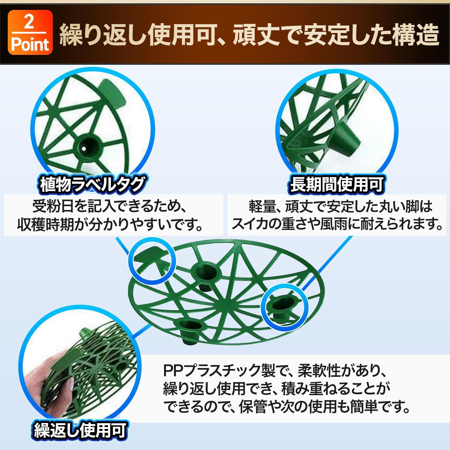 果物 果実