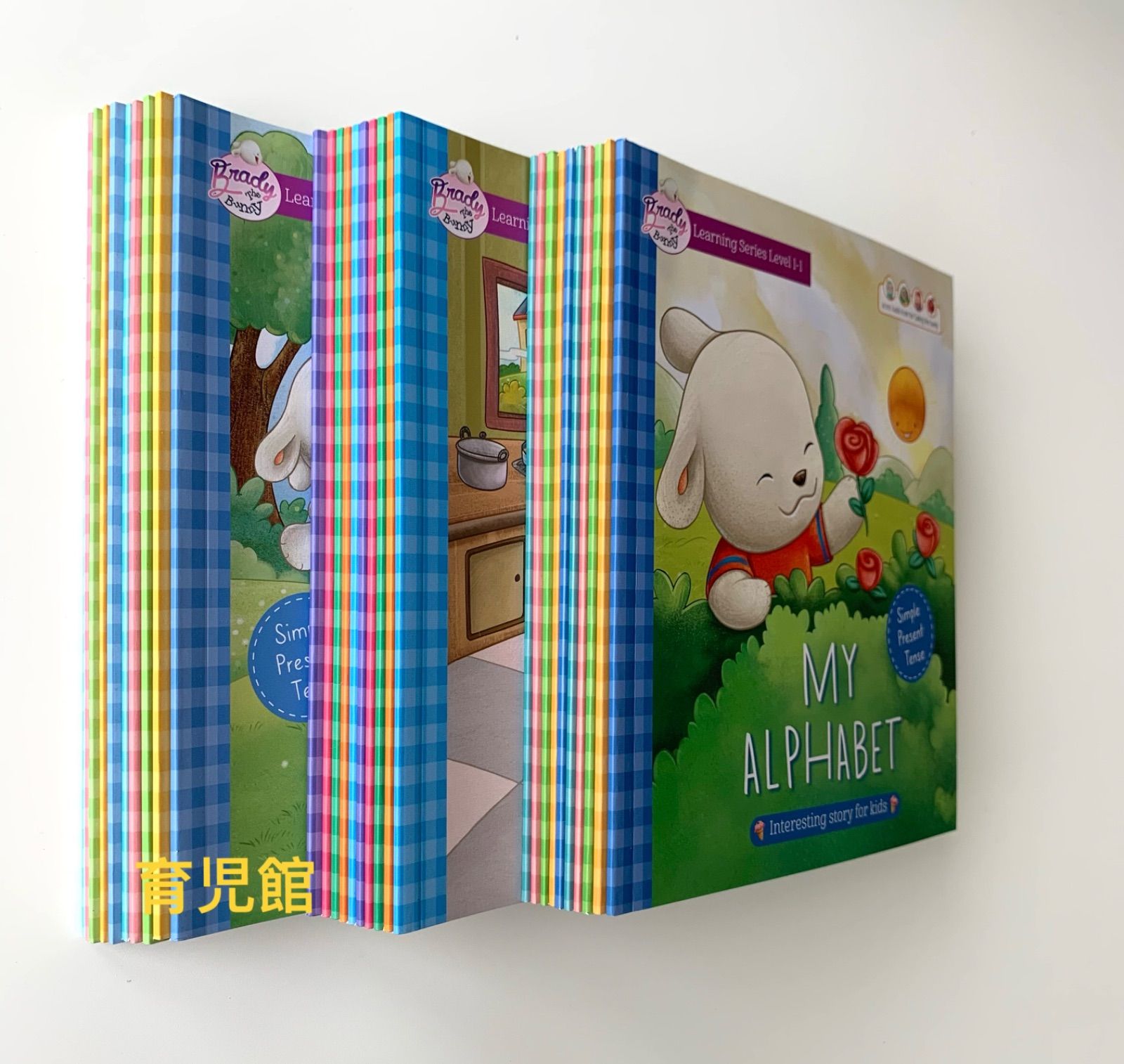 Brady the Bunny story book set 絵本30冊 動画付 | www.innoveering.net