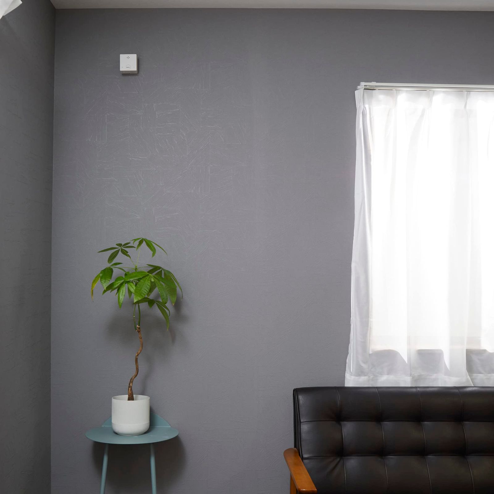 大型 オリーブ エルグレコ お洒落タイルストーンデザイン鉢植え 苗